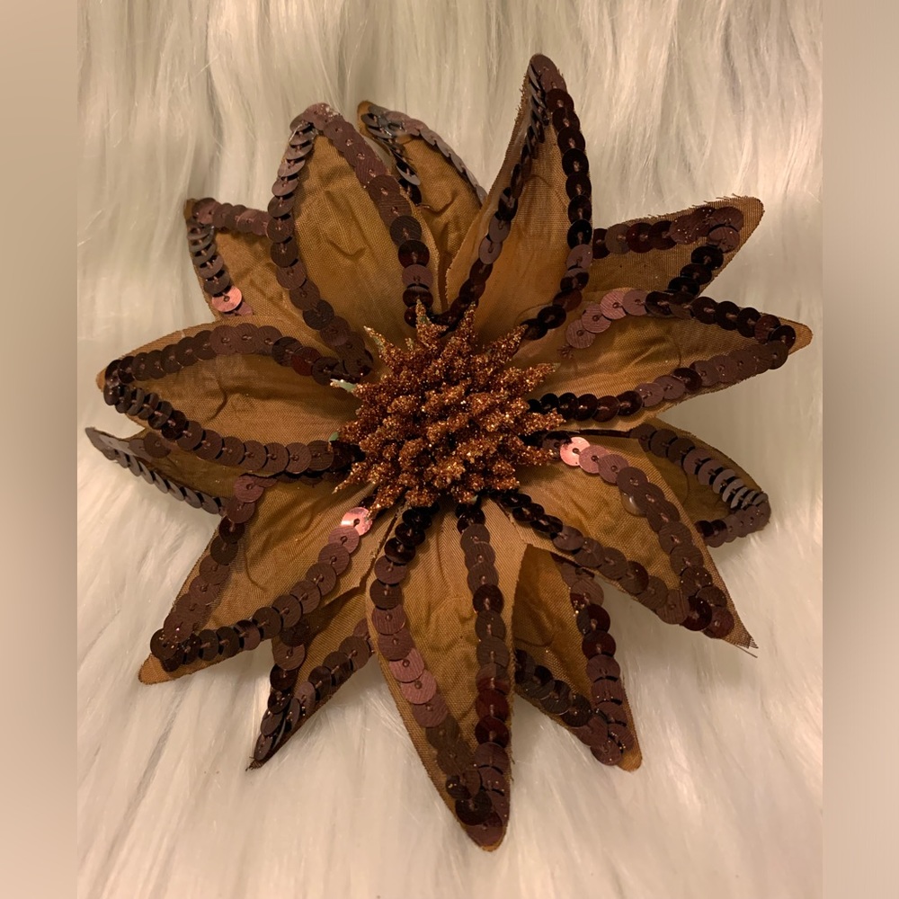 Beautiful Hair Clip